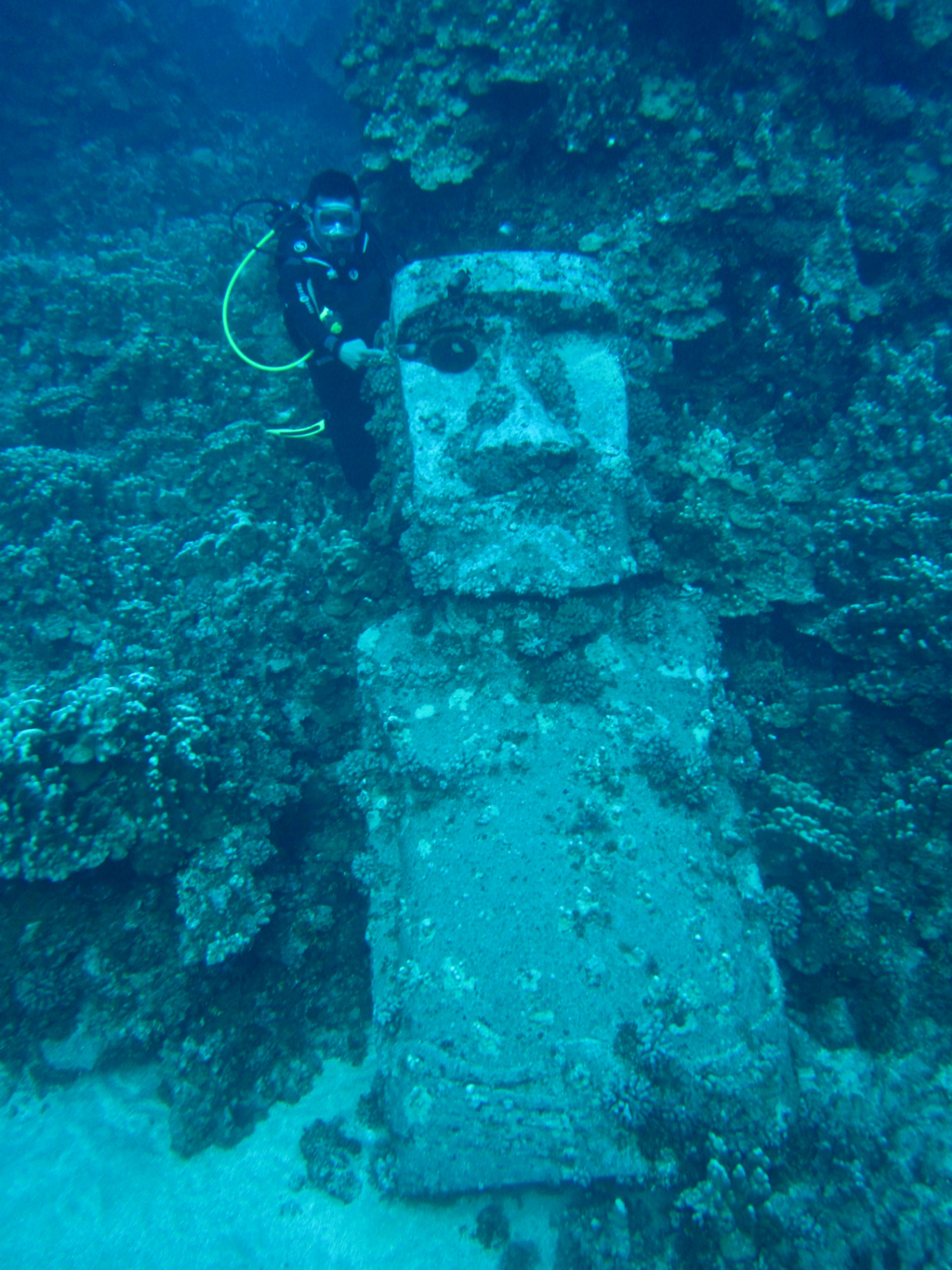 Scuba diver exploring underwater Moai statue covered in colorful coral and marine life